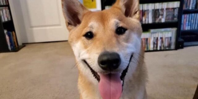 peanutbutter-1-gID_7